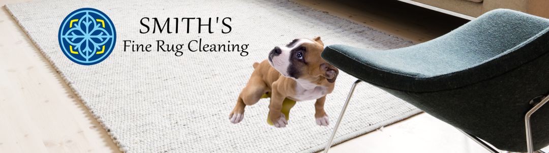 Puppy peeing on a white rug